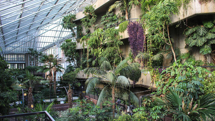 The Barbican Conservatory, London