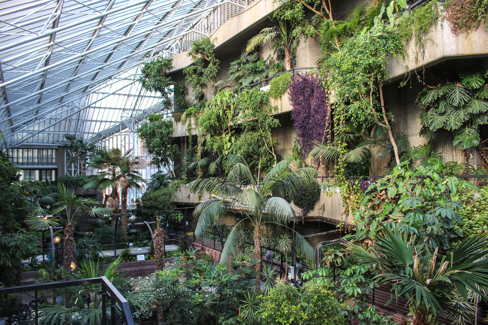 The Barbican Conservatory is reopening to the public this weekend – with late-night opening hours