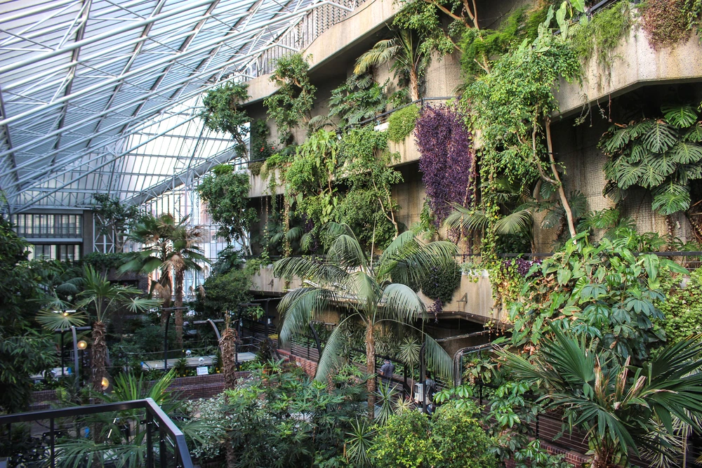 The Barbican Conservatory, London
