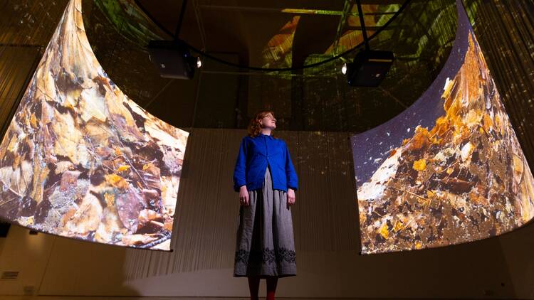 A woman looks at two suspended screens displaying Soil in Action by Wim van Egmond