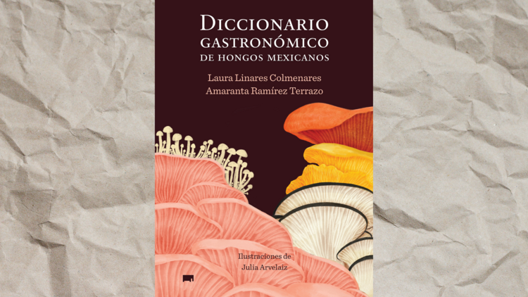 Diccionario Gastronómico de Hongos Mexicanos