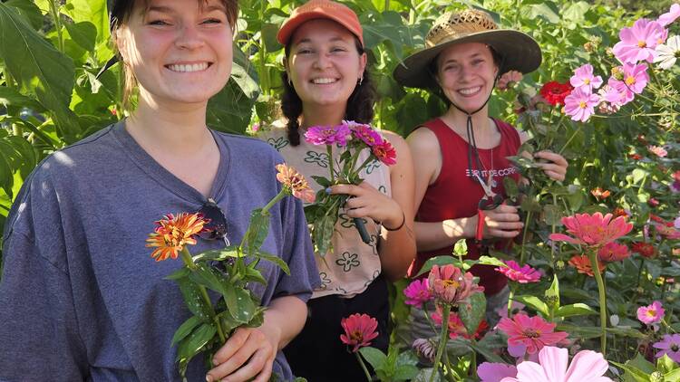 CERES Festival of Flowers