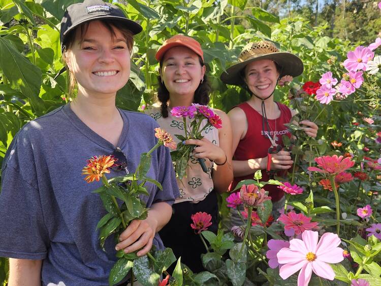 CERES Festival of Flowers