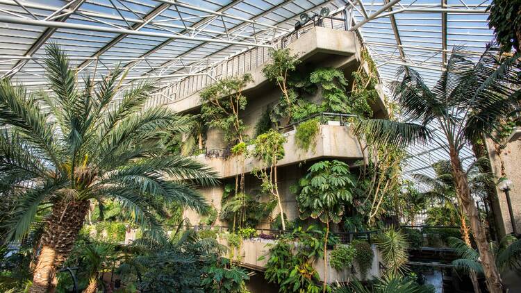 Check out the Barbican’s cross-arts series Concrete Garden