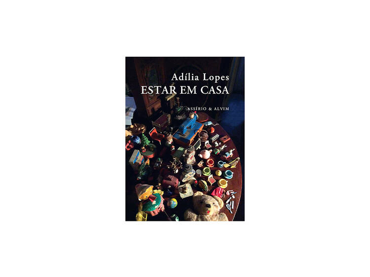 Um livro de poesia