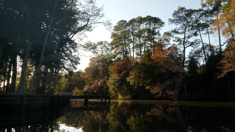 Magnolia Springs, AL