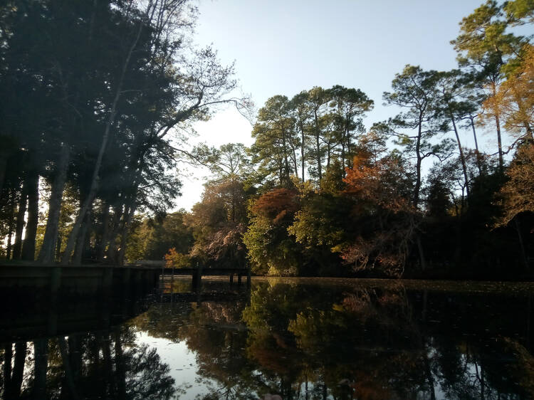 Magnolia Springs, AL