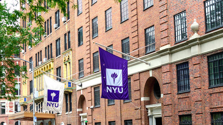 NYU Summer Programs