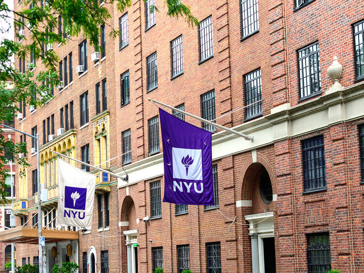 NYU Summer Programs