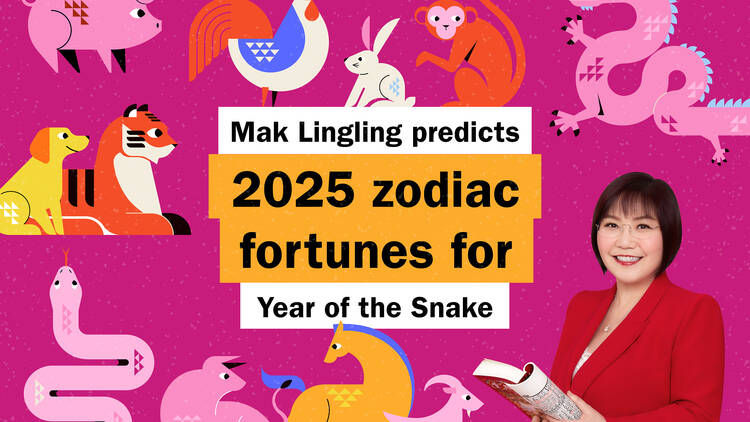 Your Chinese zodiac fortune for the Year of the Snake