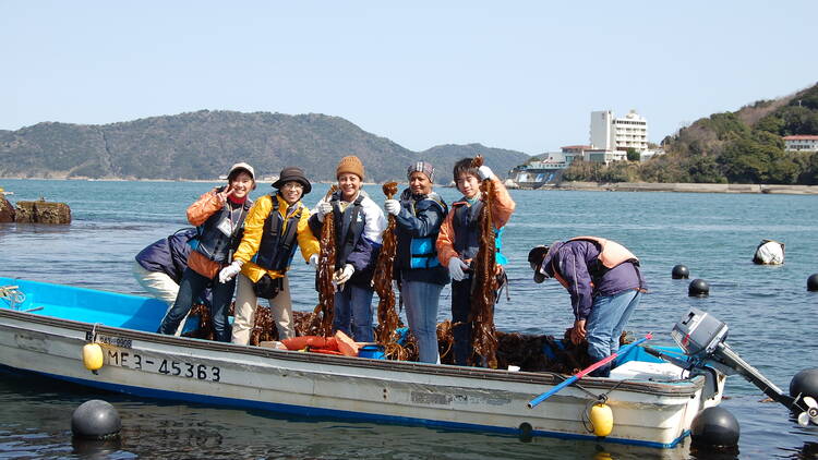 Cut through a mountain of kelp