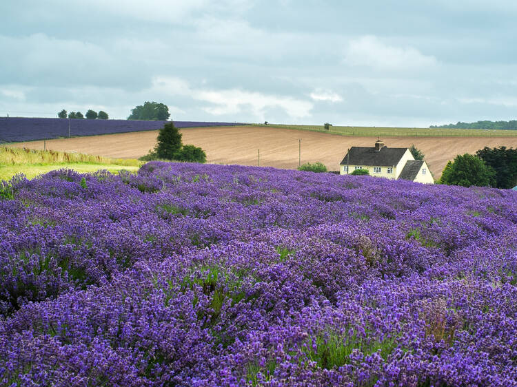 Cotswolds, UK