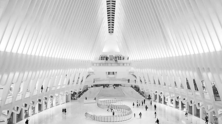 Gawk at a massive, interactive snake sculpture at The Oculus