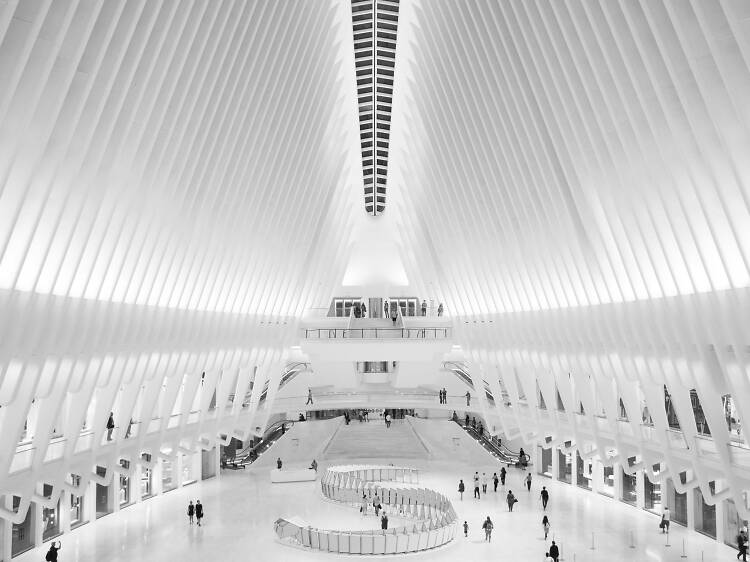 Gawk at a massive, interactive snake sculpture at The Oculus