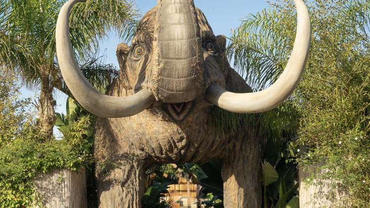 Mamut Beach Club: Gavà