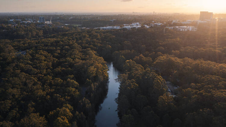 Lane Cove National Park