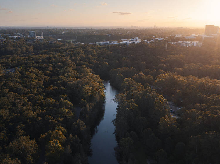 Lane Cove National Park