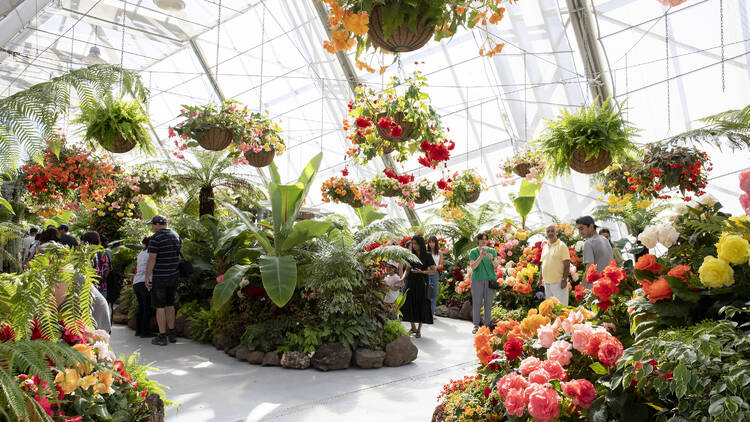 People wandering inside a flower-filled greenhouse.