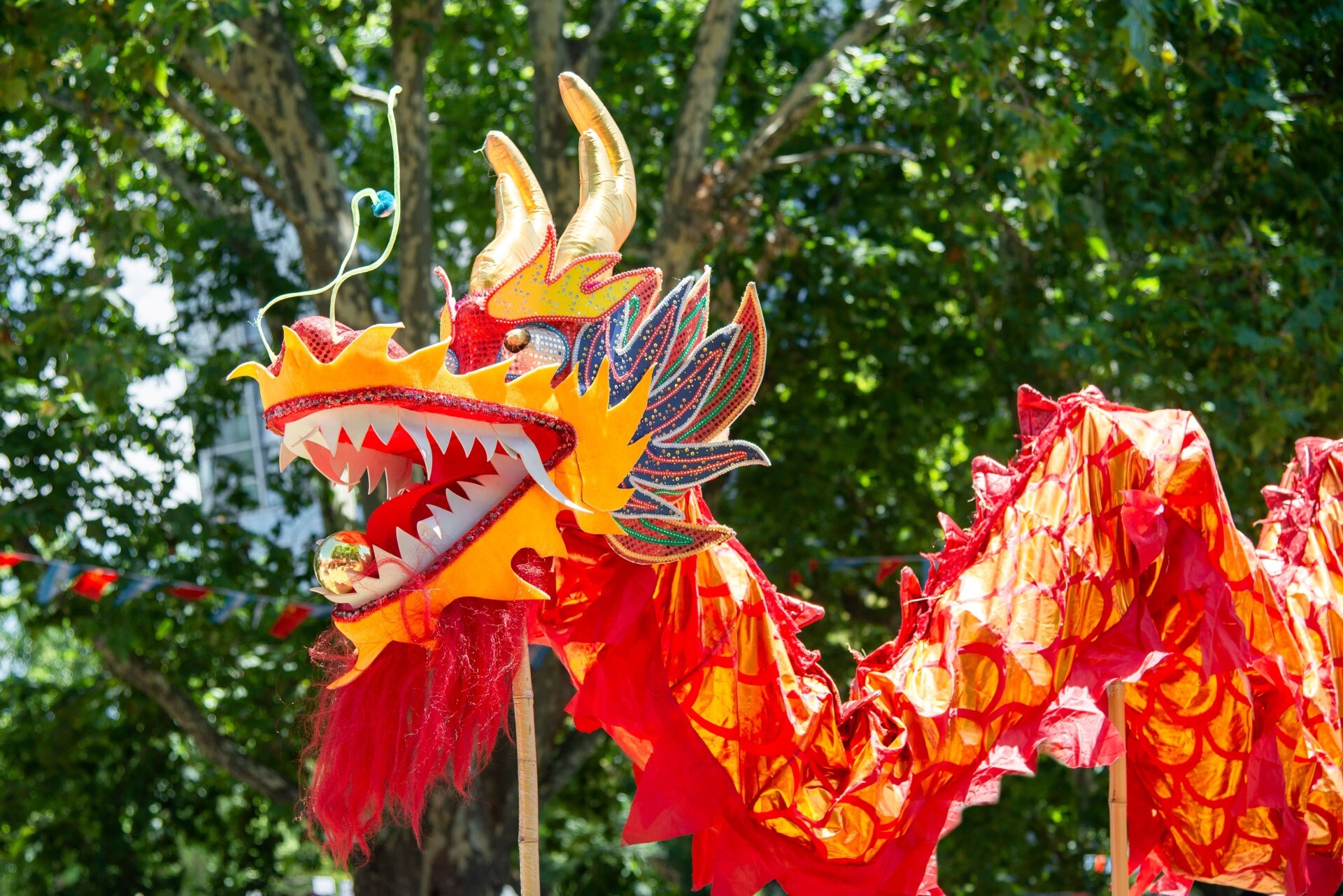 The 5 best 2025 Chinese Lunar New Year events to celebrate the Year of the Snake (that aren’t in Chinatown)