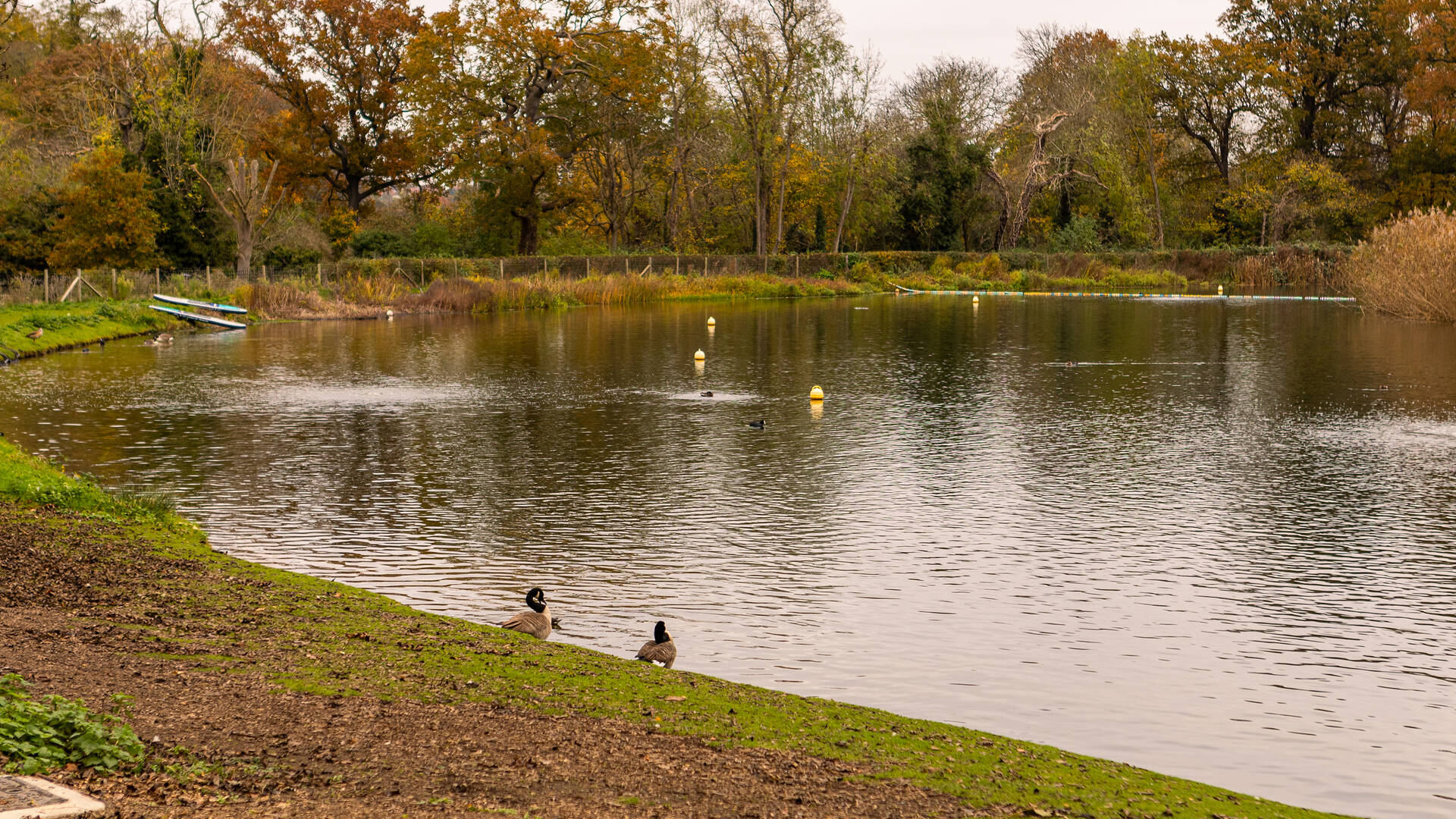 Beckenham Place Park Attractions In Beckenham London beckenham-place-park-attractions-in-beckenham-london