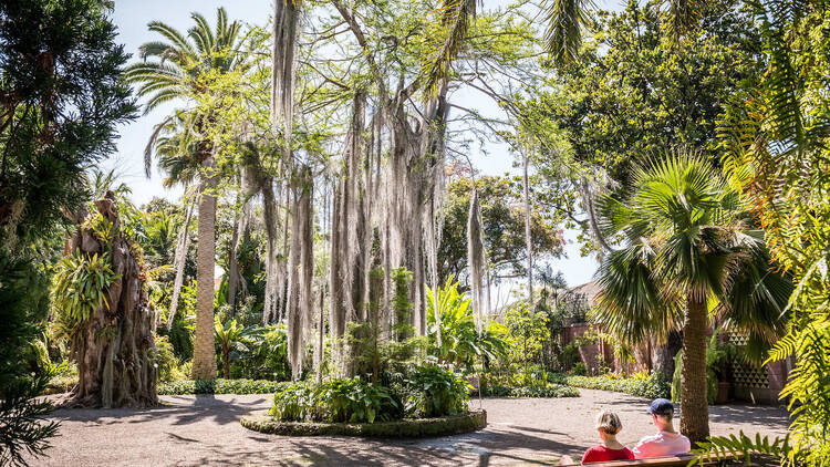 Take a breather at Jardin Botanico