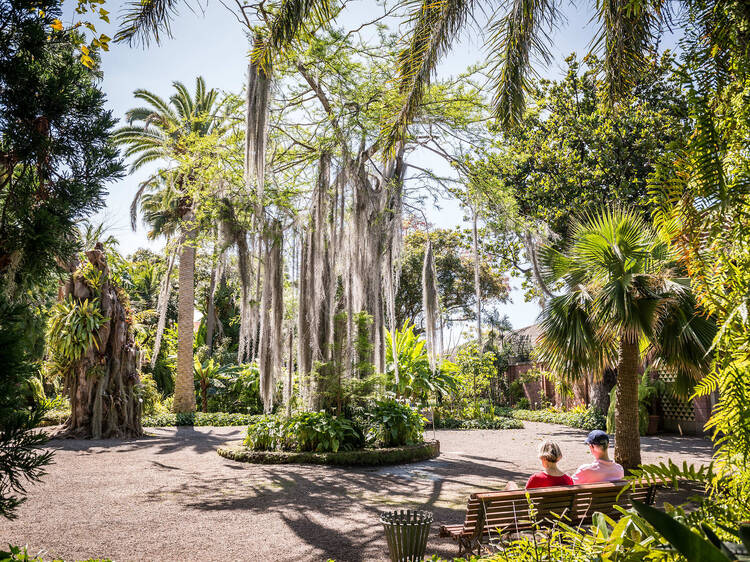 Take a breather at Jardin Botanico