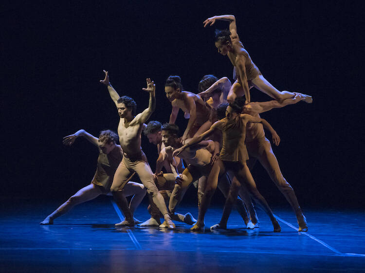 The best dance shows in NYC this month