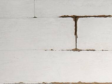 Shanghai Nights: A Lunar New Year Celebration Shanghai Nights: A Lunar New Year Celebration