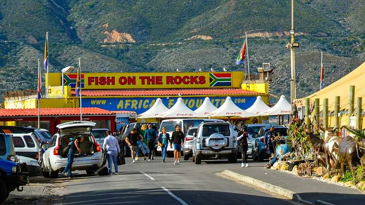 Hout Bay (and Fish on the Rocks)