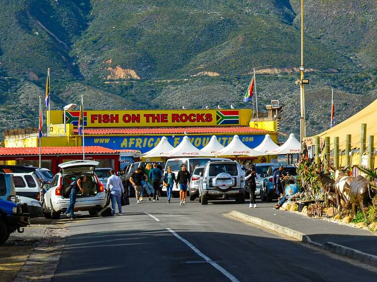 Hout Bay (and Fish on the Rocks)