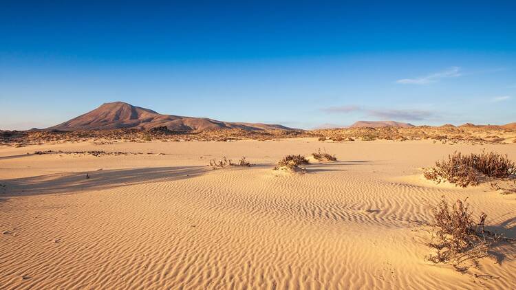 Corralejo sand dunes