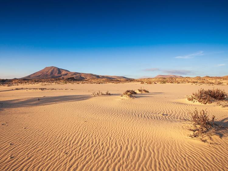 Corralejo sand dunes