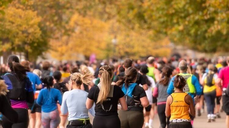 Landscape of runners under autumn toned trees, fades into soft focus in the far distance. 