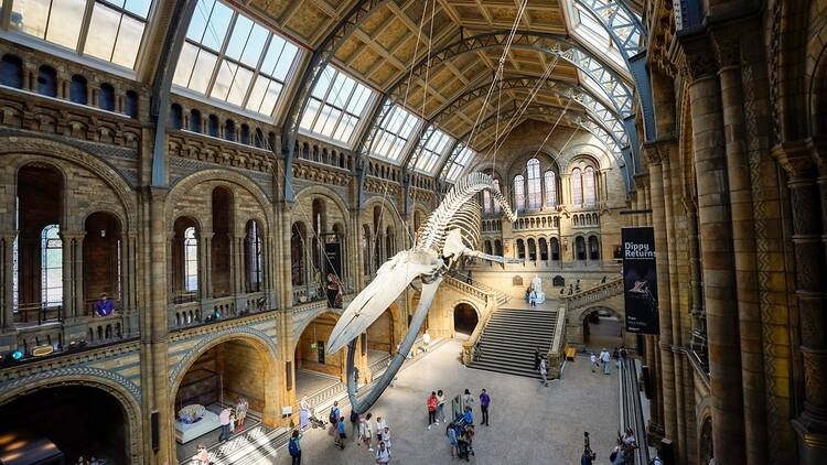 Natural History Museum, London