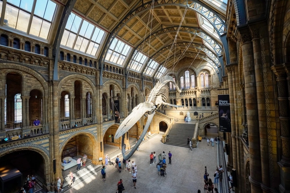 Natural History Museum, London