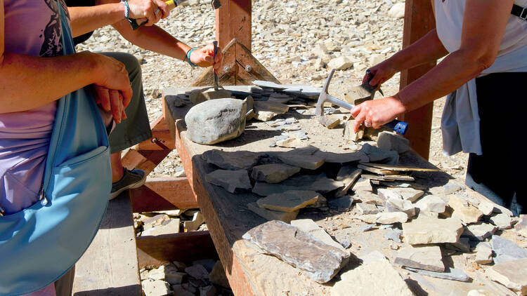 Digging for fossils in Republic, WA