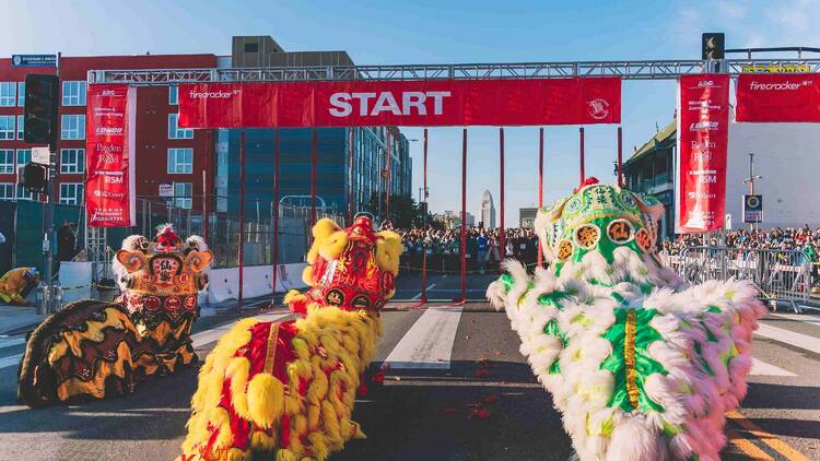 Lion dancers at the starting line of the L.A. Chinatown Firecracker Run.