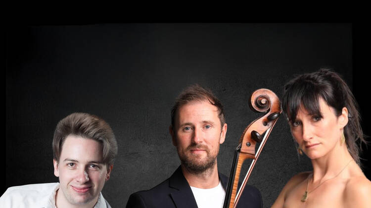 Strings trio to play Goldberg Variations