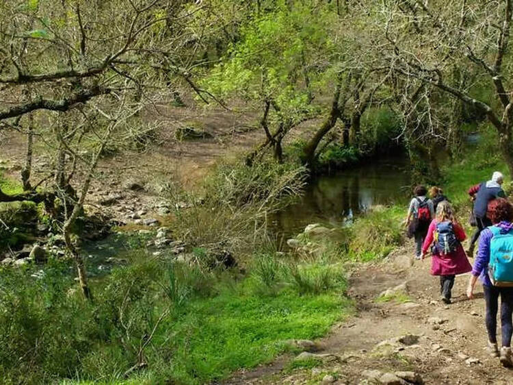 Ribeira de Cabrelas