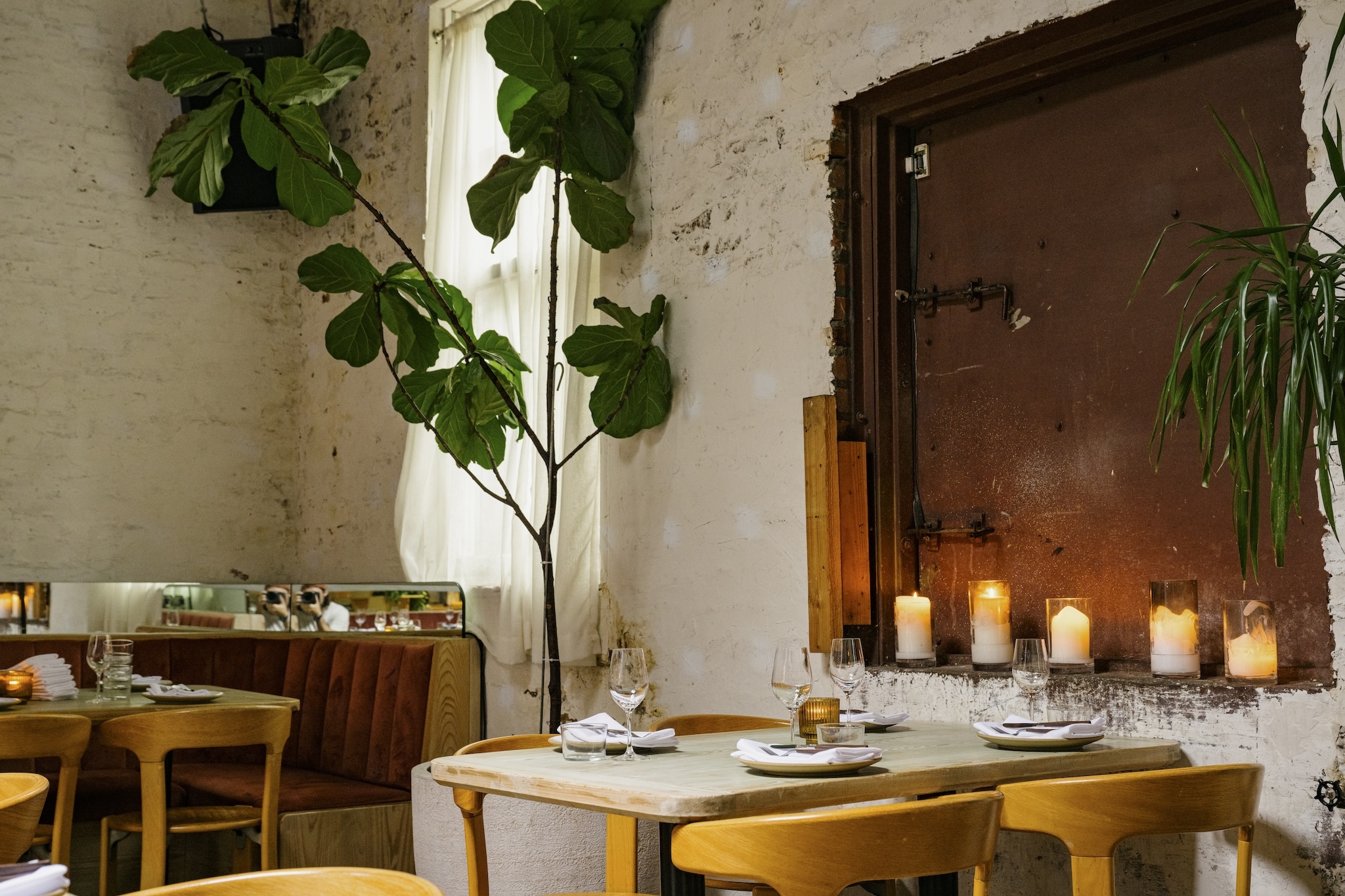 A white walled restaurant with a large plant and candles