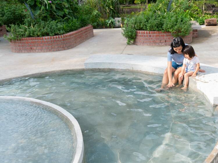 Get steamy at Sembawang Hot Spring Park