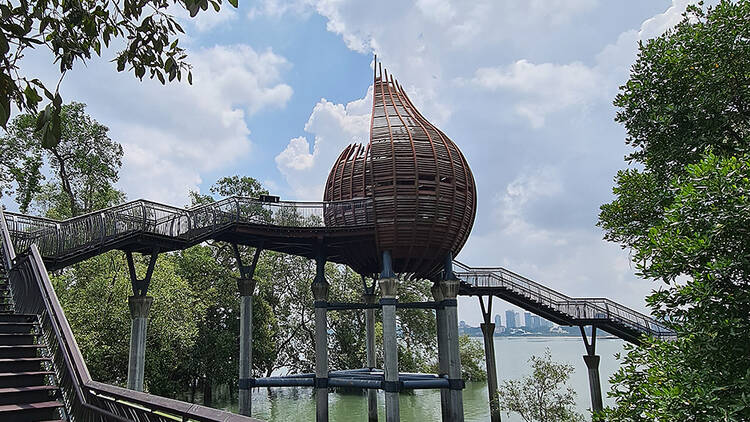 Spot wildlife at Sungei Buloh Wetland Reserve