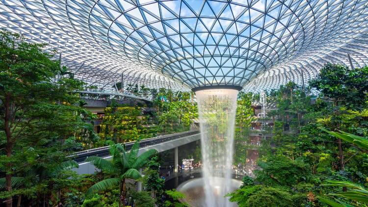 Admire the tallest indoor waterfall at Jewel Changi Airport