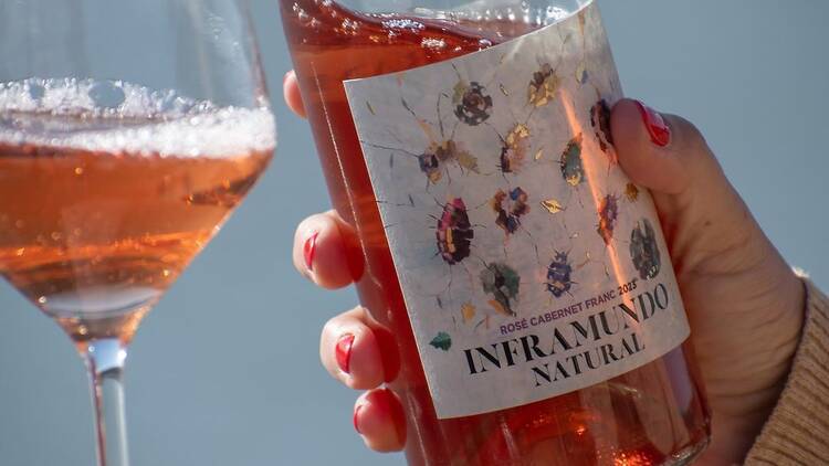 Inframundo Natural Cabernet Franc Rosé - Durigutti Family Winemakers