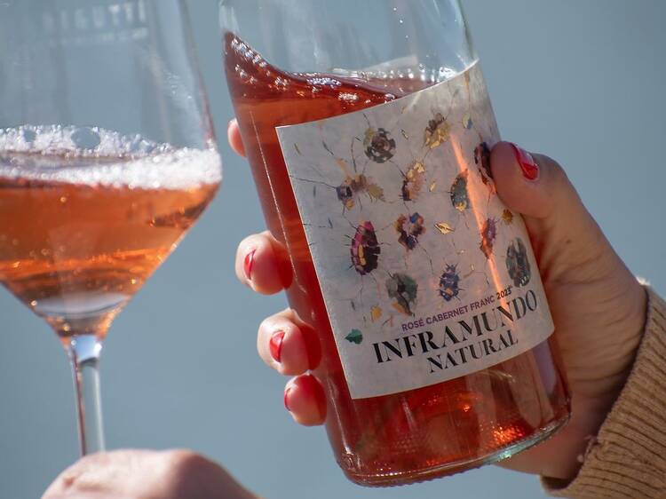 Inframundo Natural Cabernet Franc Rosé - Durigutti Family Winemakers