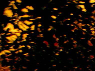 Sunset Variations Sunset Variations