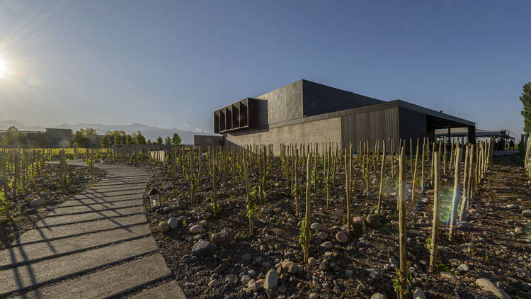 Bodega Corazón de Sol