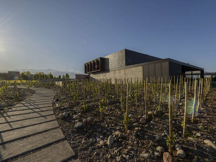 Bodega Corazón de Sol