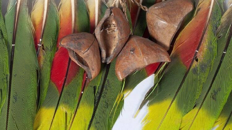 El arte de transformar el color. Las plumas Tapirage