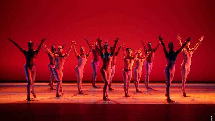 Ailey II: The Next Generation of Dance